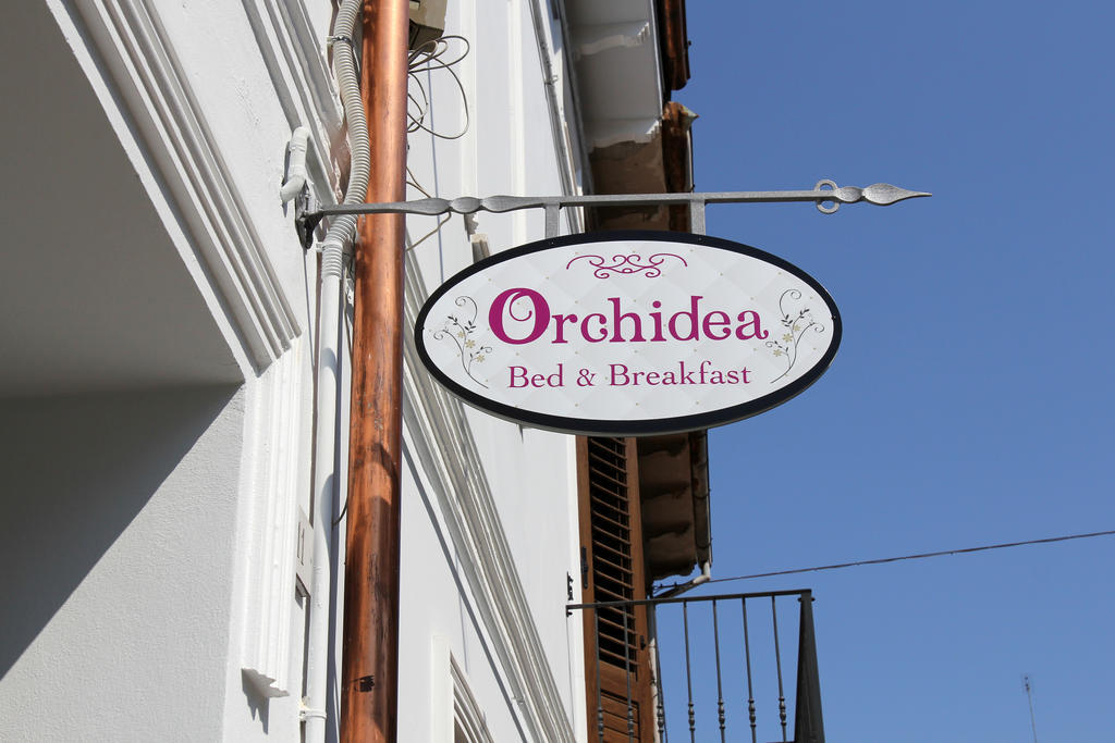 Orchidea &