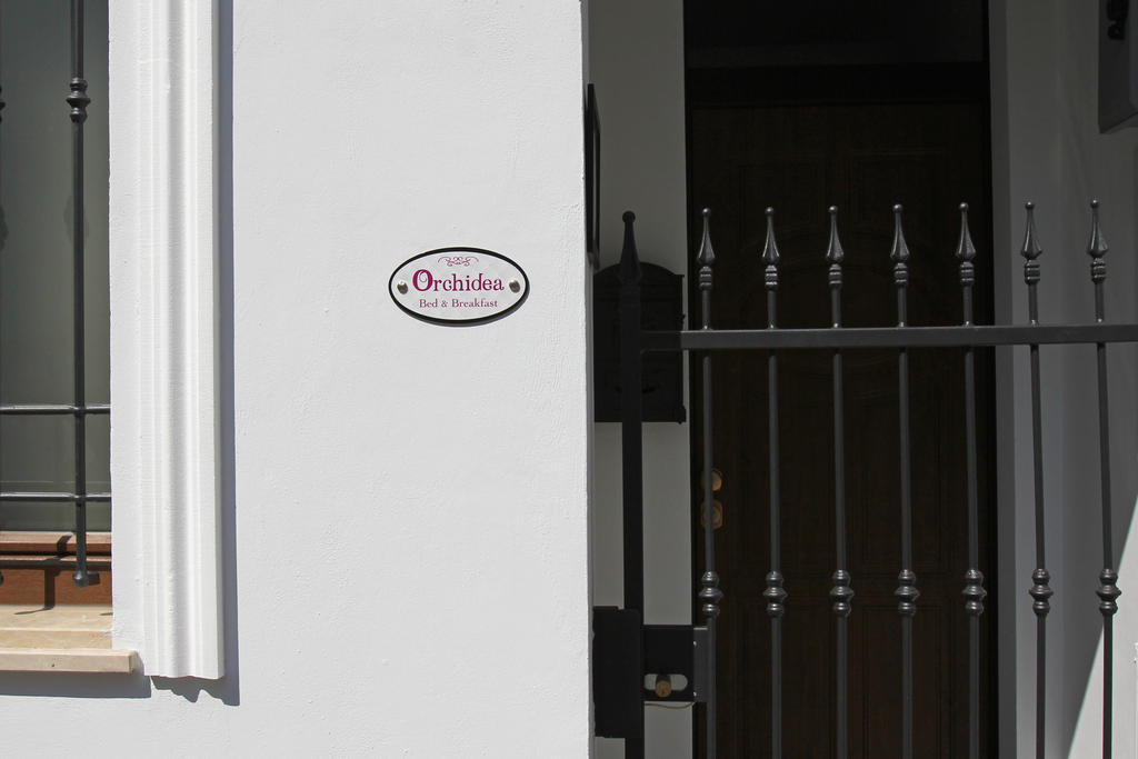 Orchidea & Civitanova Marche