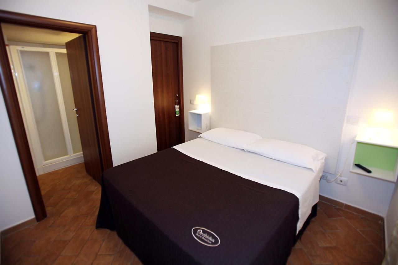 Orchidea & Civitanova Marche