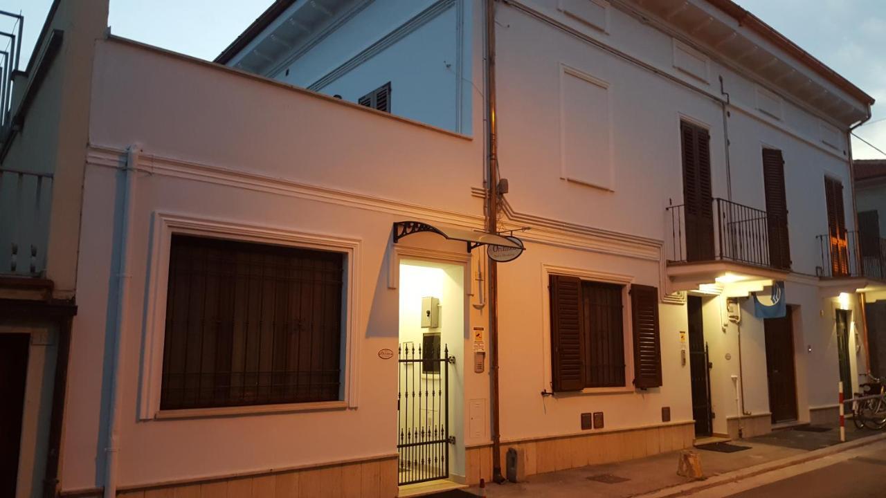 Orchidea & * Civitanova Marche
