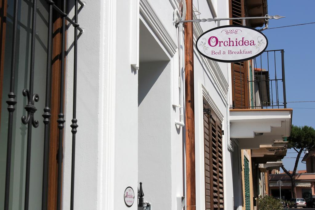 Orchidea & Bed and breakfast Civitanova Marche