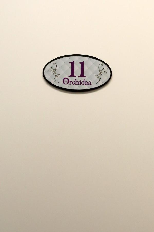 Orchidea & Bed and breakfast Civitanova Marche